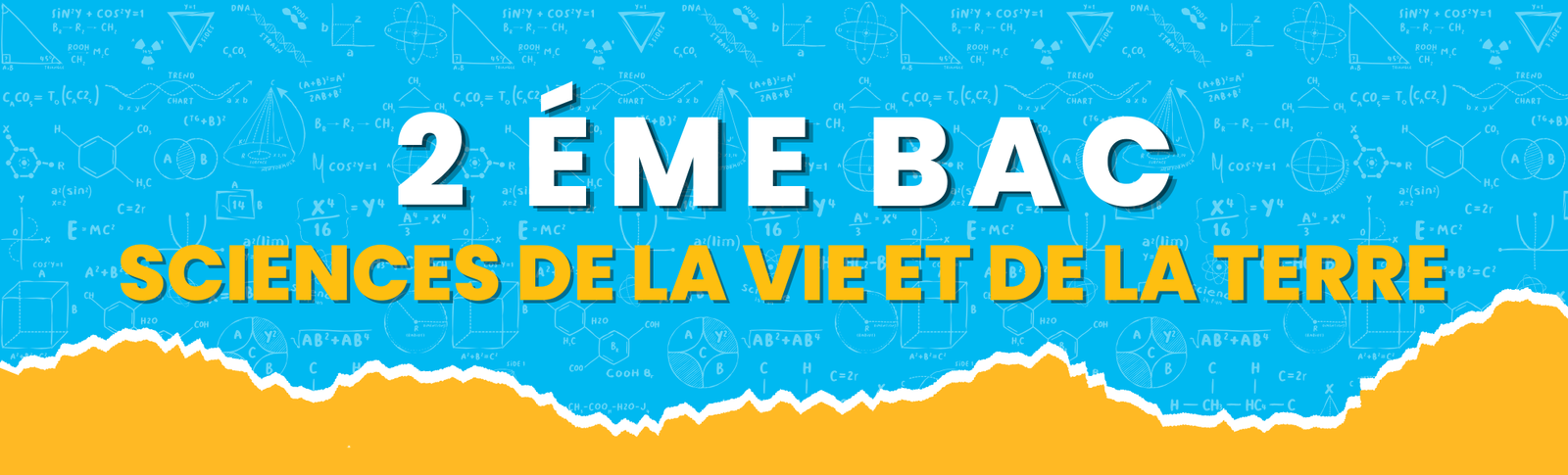 2ème Bac – Sciences de la Vie et de la Terre (SVT)