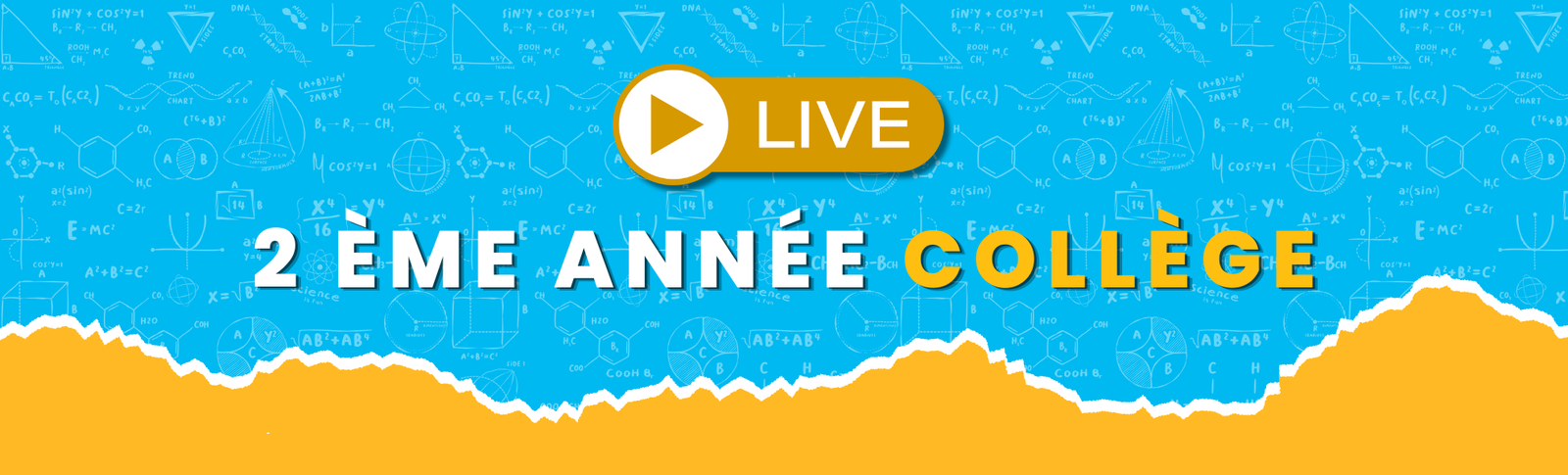 2ᵉ année collège