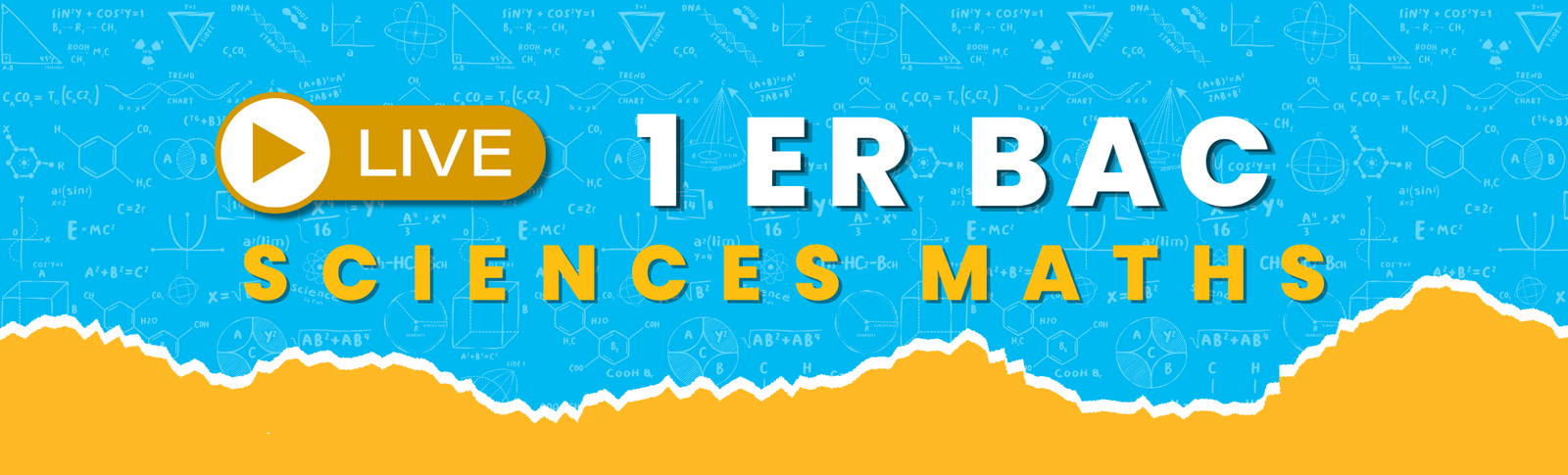 1ʳᵉ année baccalauréat	Sciences maths	